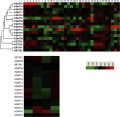 Thumbnail for version as of 08:16, 8 June 2014
