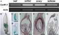 Thumbnail for version as of 09:00, 5 June 2014