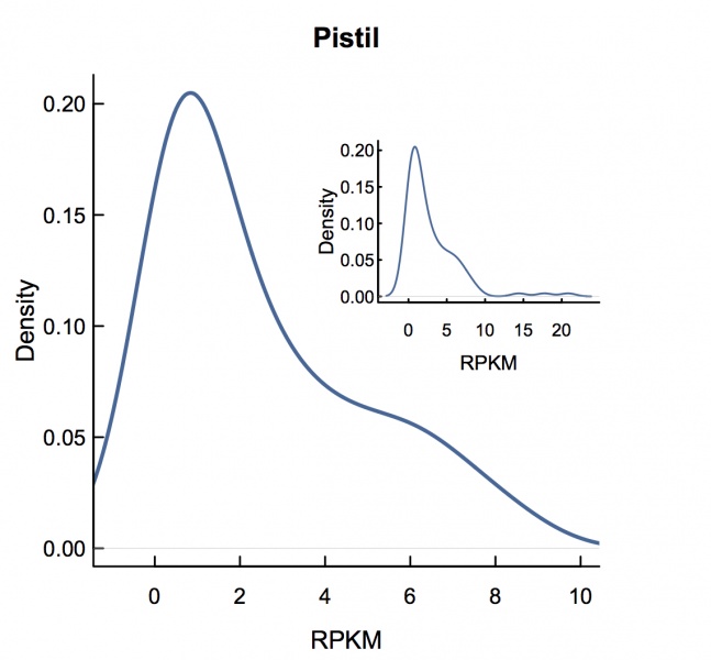 File:Pistil.rpkm.jpeg
