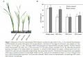 Thumbnail for version as of 10:50, 27 May 2014