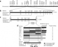 Thumbnail for version as of 01:40, 28 May 2014