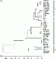 Thumbnail for version as of 16:36, 6 June 2014
