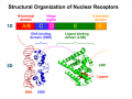 Thumbnail for version as of 07:36, 8 June 2014