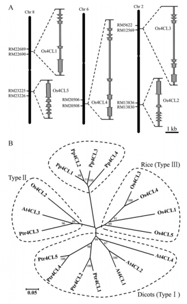 File:29-f1.png