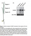 Thumbnail for version as of 12:04, 9 June 2014