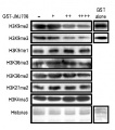 Thumbnail for version as of 12:42, 4 June 2014