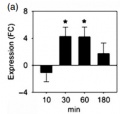 Thumbnail for version as of 12:04, 14 May 2014