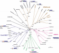 Thumbnail for version as of 02:30, 18 May 2014