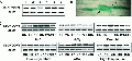 Thumbnail for version as of 07:30, 24 December 2014