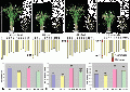 Thumbnail for version as of 13:25, 5 June 2014