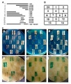 Thumbnail for version as of 15:46, 6 June 2014