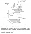 Thumbnail for version as of 18:17, 28 May 2014