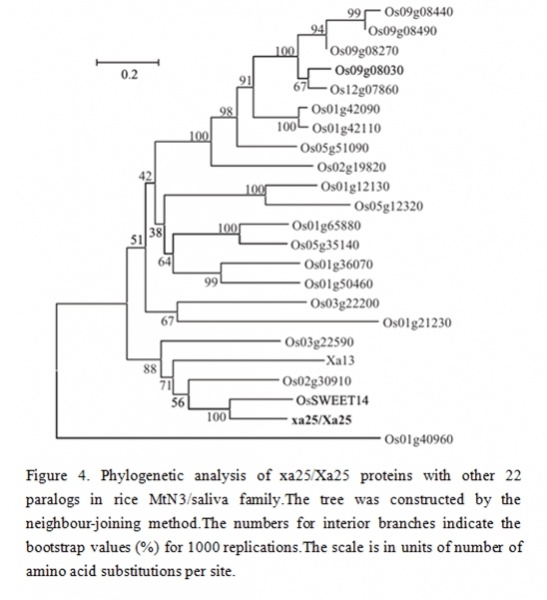 File:Analysis.jpg