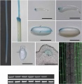 Thumbnail for version as of 06:47, 17 May 2014