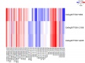 Thumbnail for version as of 08:26, 31 May 2014