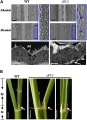 Thumbnail for version as of 11:48, 30 May 2014