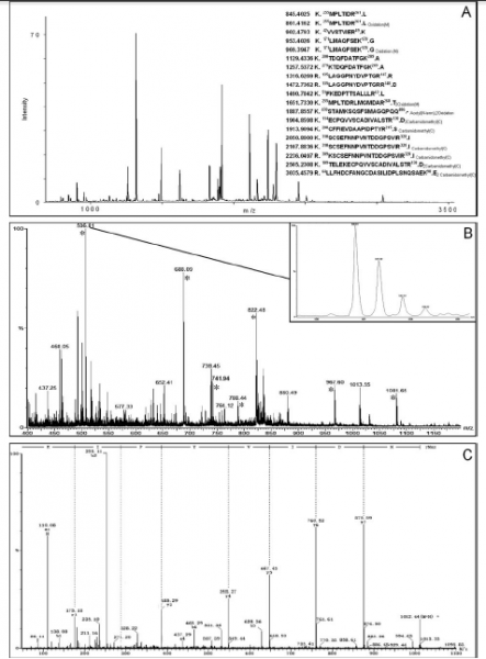 File:IC4R006-Proteomic-2007-17132620-f3.png