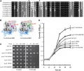 Thumbnail for version as of 04:59, 10 June 2014