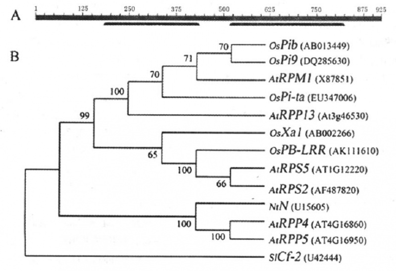 File:Evolution of PB.JPG