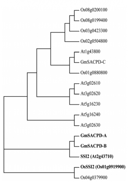 File:Fig.2.Phylogenetic tree .png