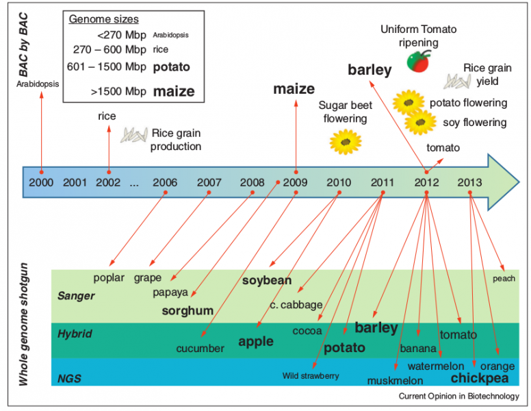 File:IC4R-Genome-overview-1.png