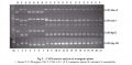 Thumbnail for version as of 11:53, 13 June 2014