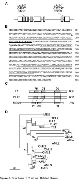 File:Figure5ABCD.jpg