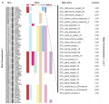 Thumbnail for version as of 13:55, 30 June 2016