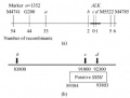 Thumbnail for version as of 12:37, 8 June 2014