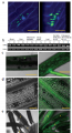 Thumbnail for version as of 05:23, 23 May 2014