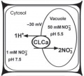 Thumbnail for version as of 07:16, 7 June 2014