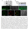 Thumbnail for version as of 15:40, 3 June 2014