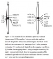 Thumbnail for version as of 15:08, 28 May 2014