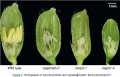 Thumbnail for version as of 01:45, 6 May 2014
