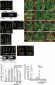 Thumbnail for version as of 03:43, 25 May 2014