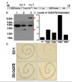 Thumbnail for version as of 06:04, 6 June 2014