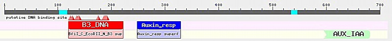 File:F ARF 1.jpg