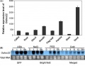 Thumbnail for version as of 12:35, 7 June 2014
