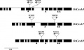 Thumbnail for version as of 10:09, 3 June 2014