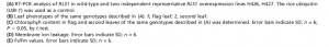 RLS1.7A.png