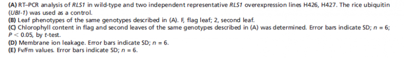 File:RLS1.7A.png