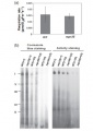 Thumbnail for version as of 14:33, 9 June 2014
