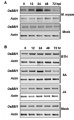 Thumbnail for version as of 00:57, 9 June 2014