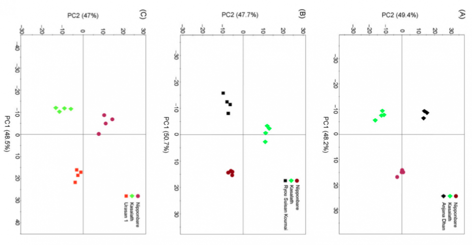 IC4R006-Metabolomics-2007-17556050-1.png