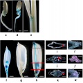 Thumbnail for version as of 08:01, 10 June 2014