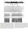 Thumbnail for version as of 08:43, 9 June 2014