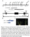 Thumbnail for version as of 03:09, 9 June 2014