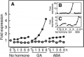Thumbnail for version as of 17:18, 31 May 2014