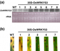 Thumbnail for version as of 06:09, 7 June 2014