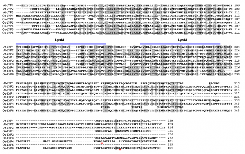 File:Fig I.png